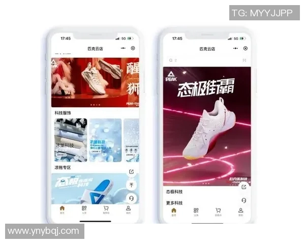 全球知名体育运动品牌的崛起与发展趋势分析